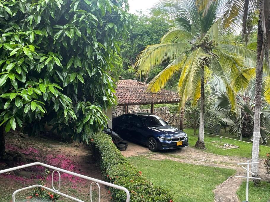 Las Palmeras casa en Melgar - B&B