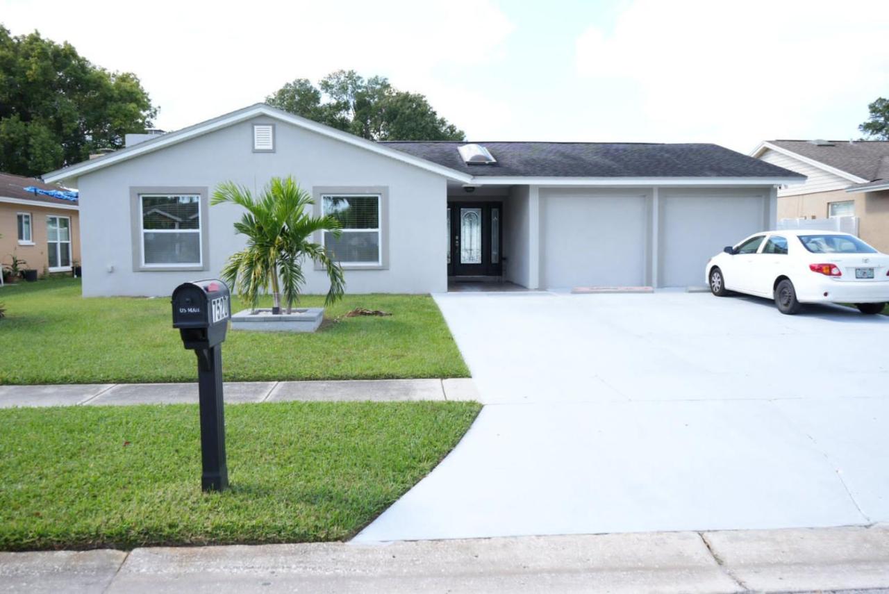 Hosting 1 - Ferienwohnung Tampa