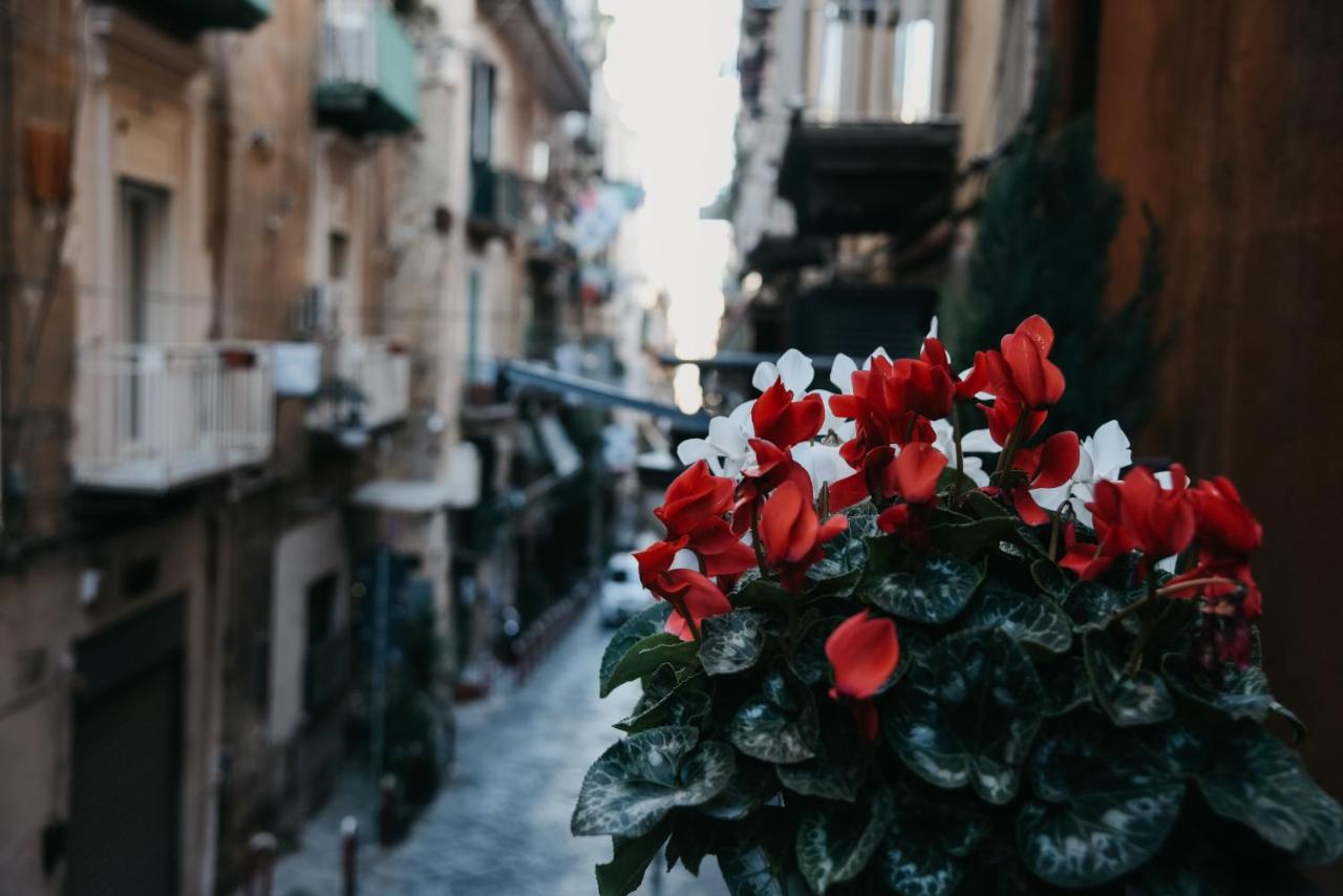 Terra Mia Suite - Je so' pazzo - B&B Napoli