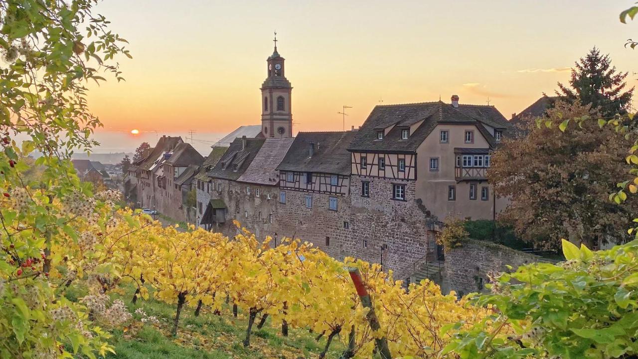 Remparts de Riquewihr - La Cigogne Blanche - B&B Riquewihr