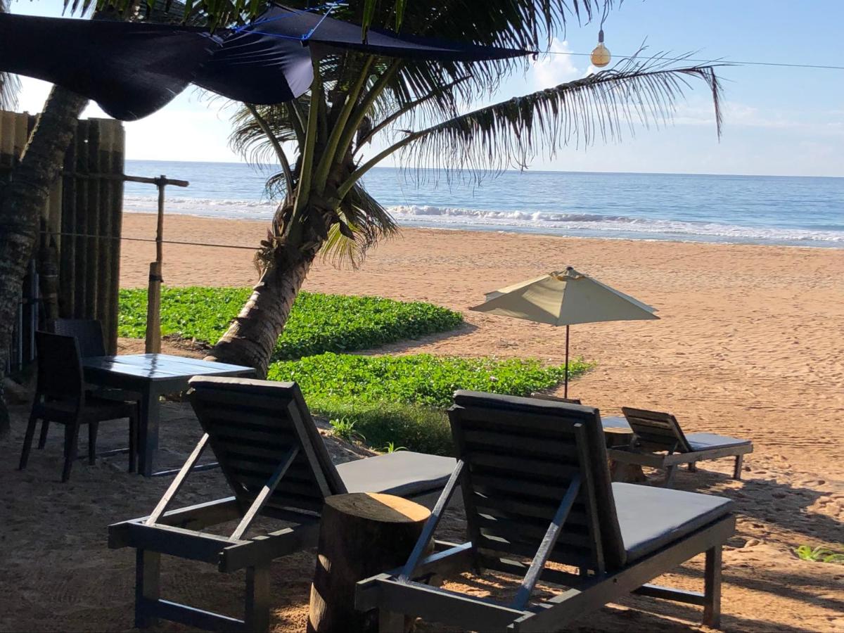 Mandy House - B&B Habaraduwa