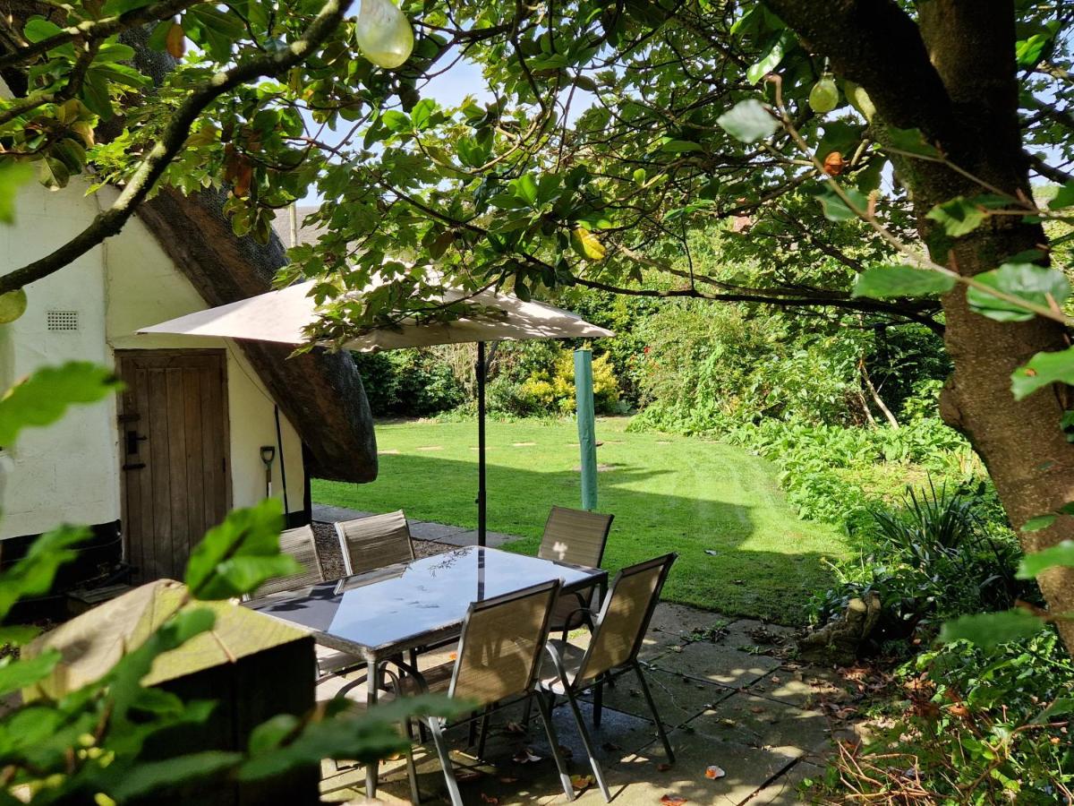 Delightful 3bed thatched Cottage - Ferienwohnung