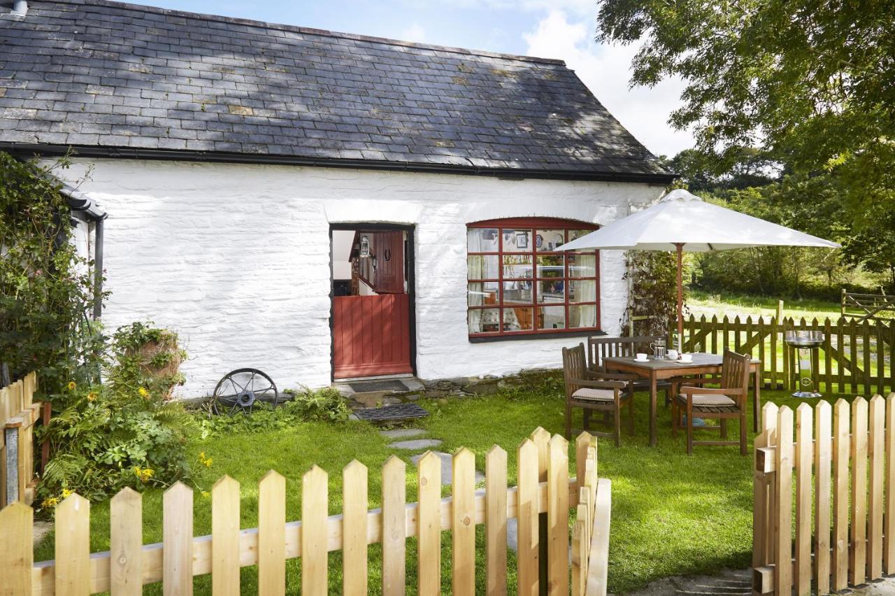 Y Cartws near Llangrannog - B&B
