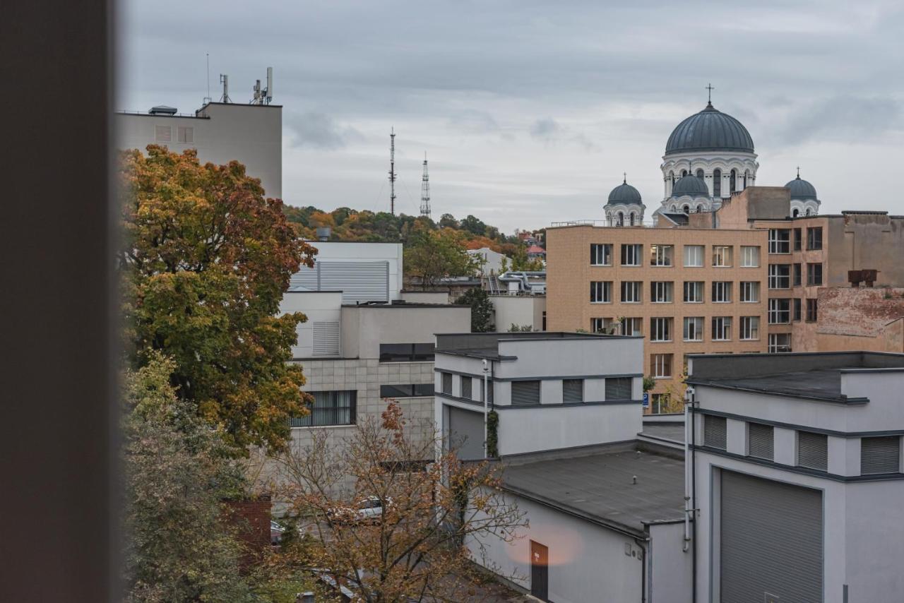 Apt-Gallery in Central Kaunas - B&B