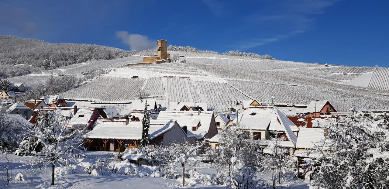 Sur la Route des Vins- très proche Colmar - B&B Katzenthal