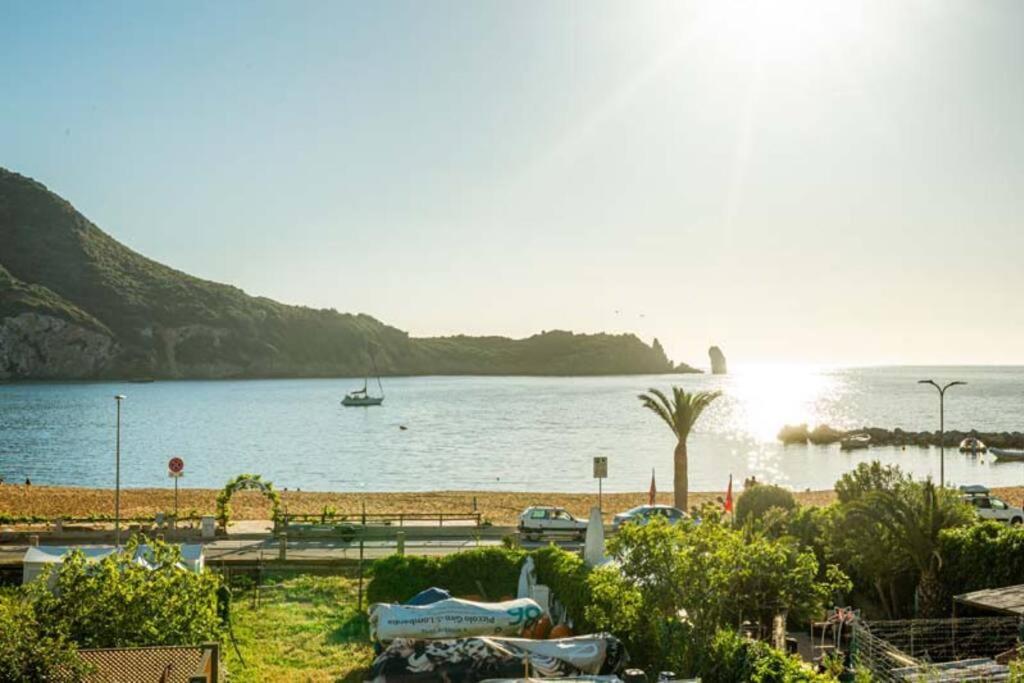 Giglio Azzurro 1 - B&B Campese