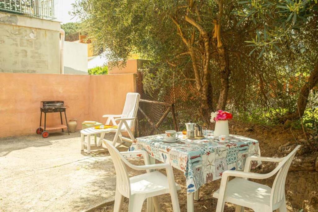 Giglio Azzurro 2 - B&B