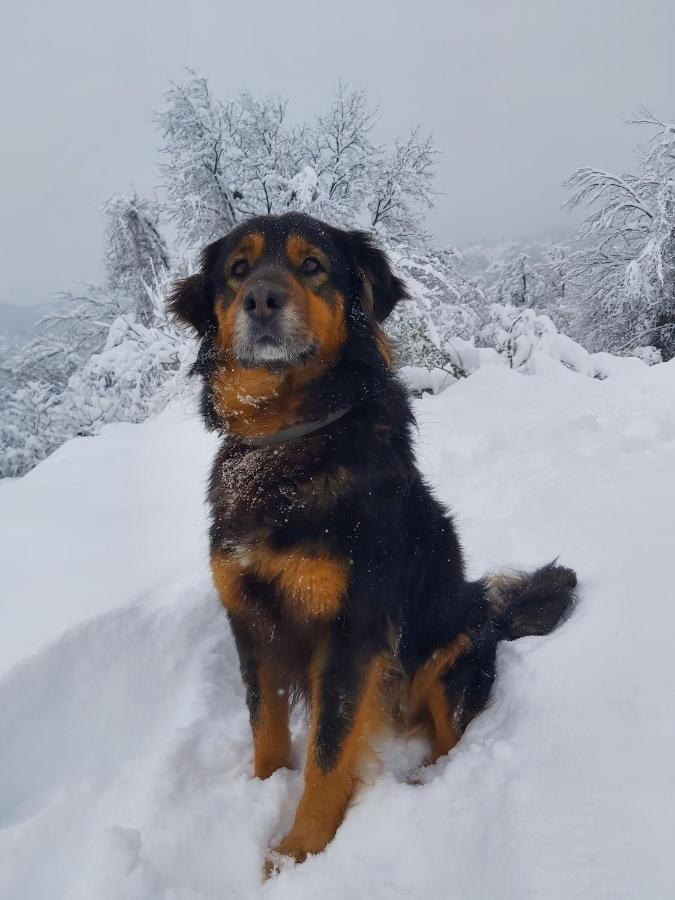 Casa con 1 dormitorio