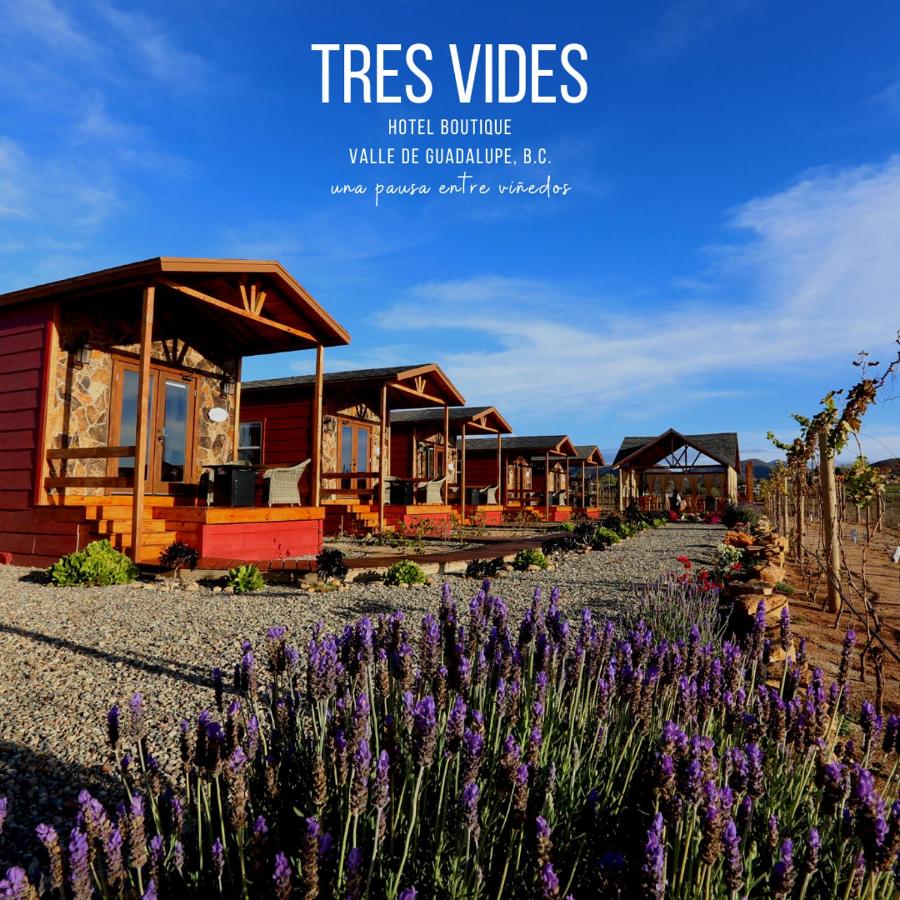 B&B Valle de Guadalupe - Tres Vides Hotel Boutique - Bed and Breakfast Valle de Guadalupe