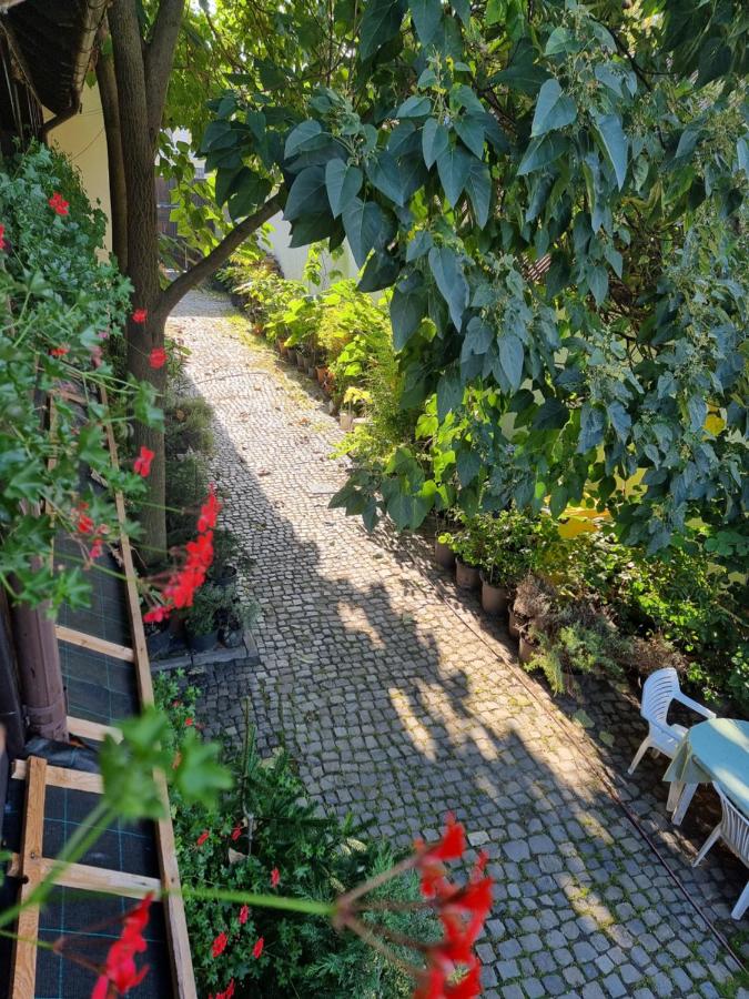 Camera Junior 5 persoane Paulownia Garden - B&B