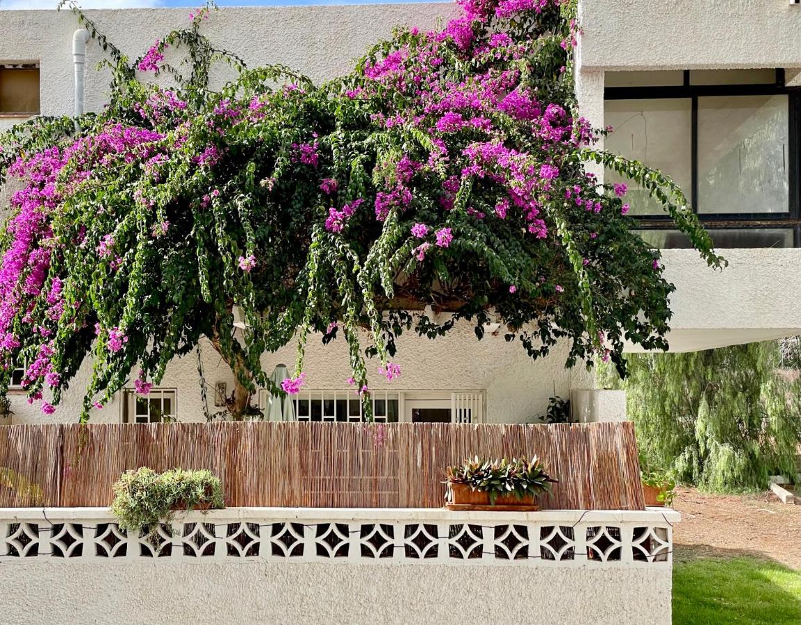 Casa Zoltan - Ferienwohnung Costa del Silencio