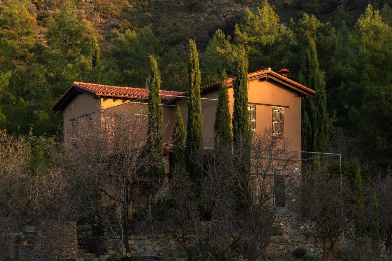 FIKARDOU ALMOND PARK - B&B
