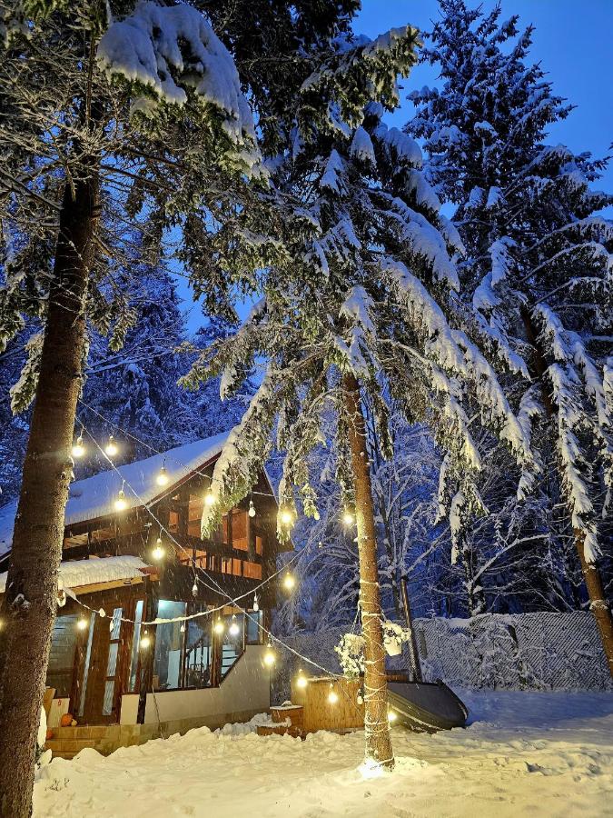 Misha's House - Bed and Breakfast Porumbacu de Sus