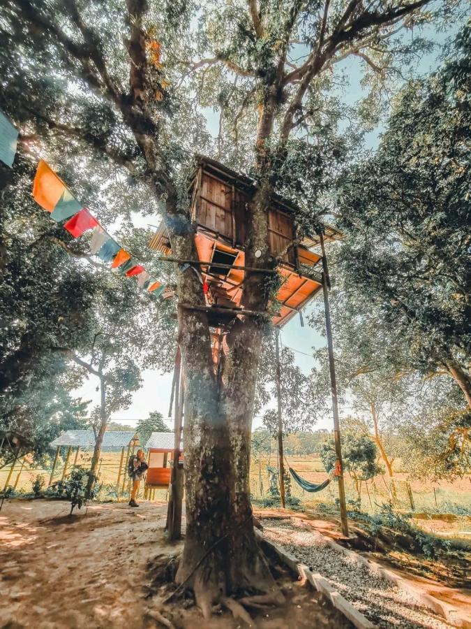 Bungalow with Garden View