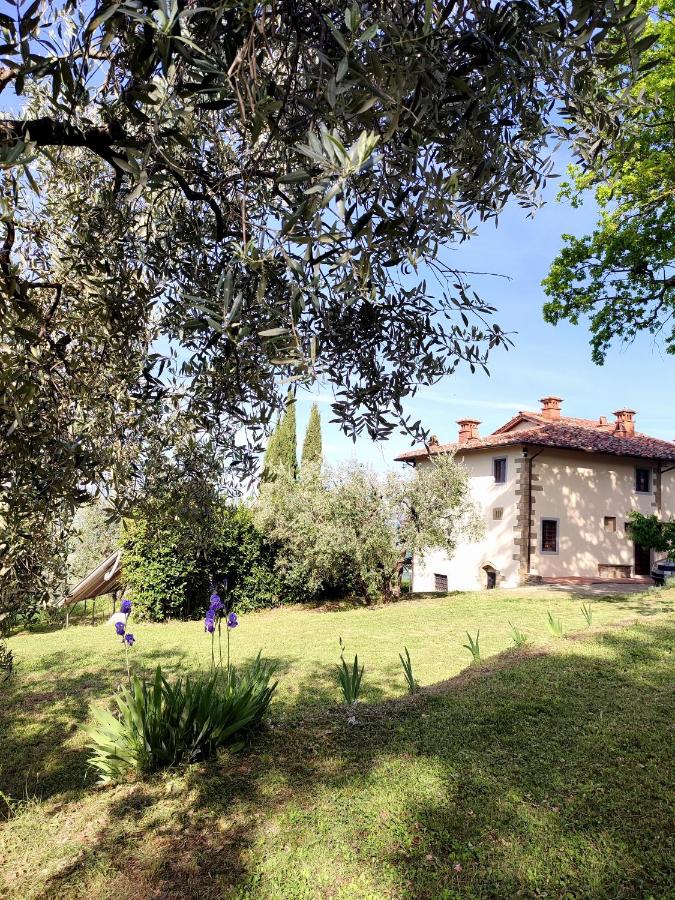 Agriturismo Cafaggio Primo - B&B Loro Ciuffenna