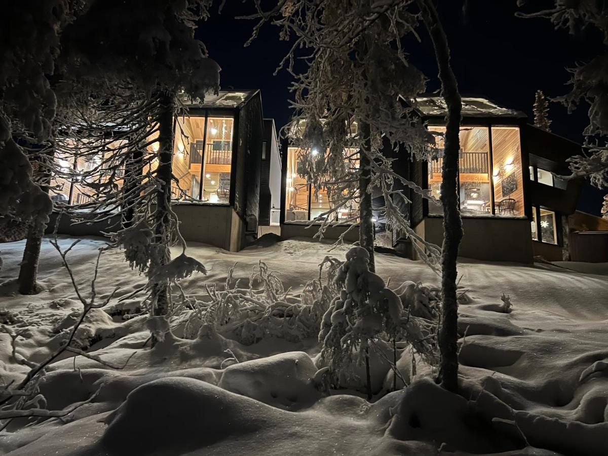 Villa Auroras Kettu - B&B