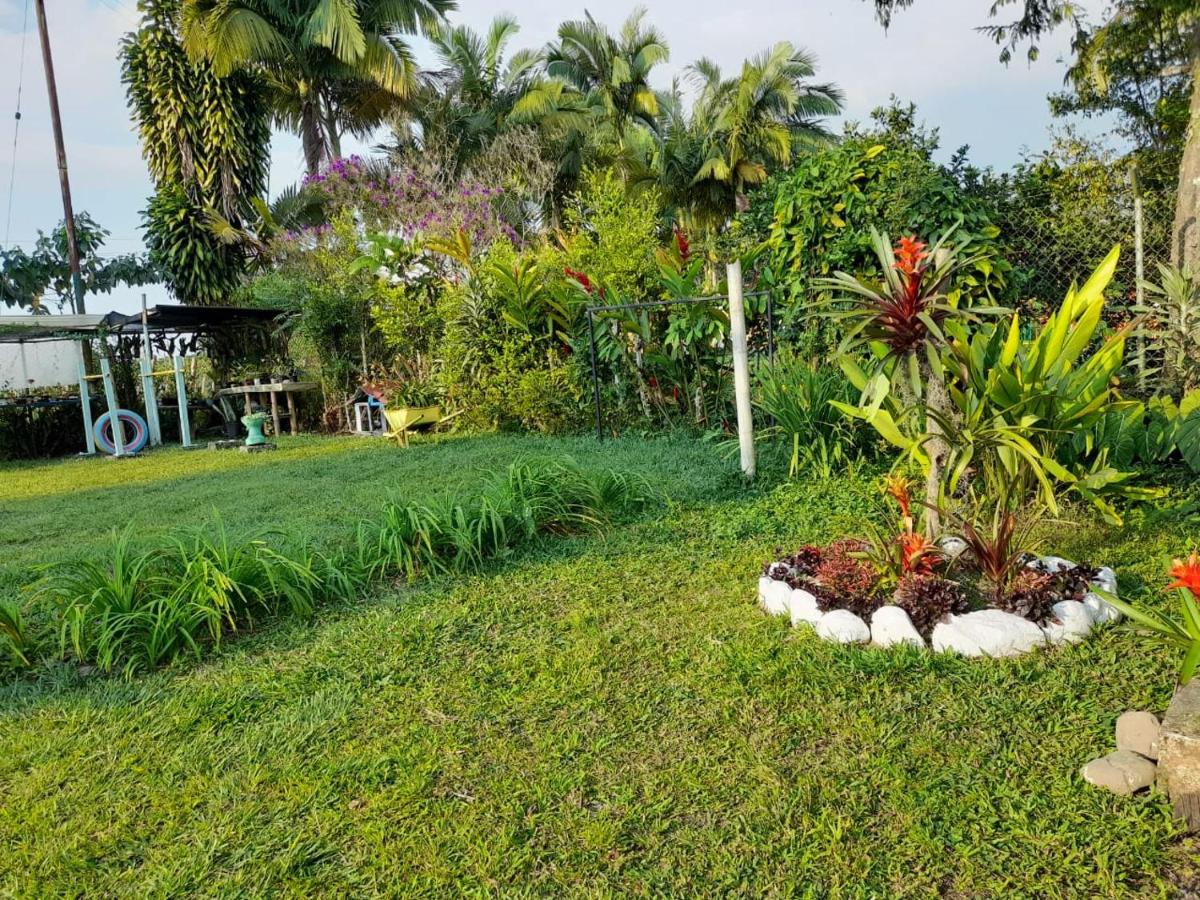 Double Room with Park View
