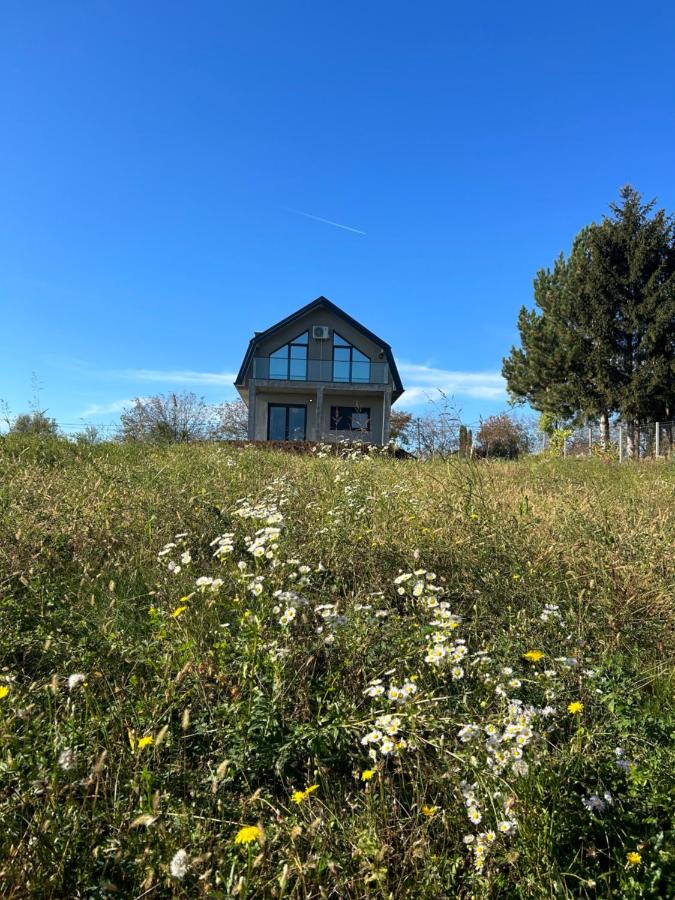 Fruska Gora Villa Medici - B&B Irig