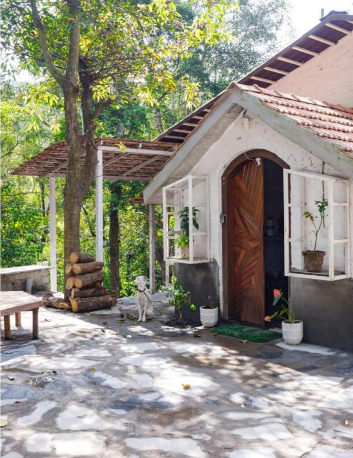 Jungle stay by Bilwa Estate - Ferienwohnung