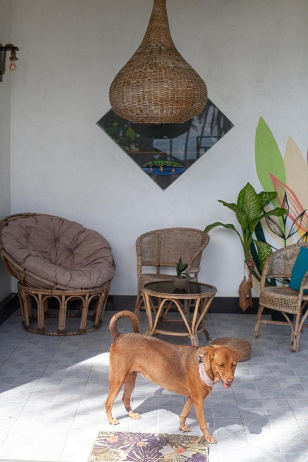 Marshmallow Homestay - Ferienwohnung