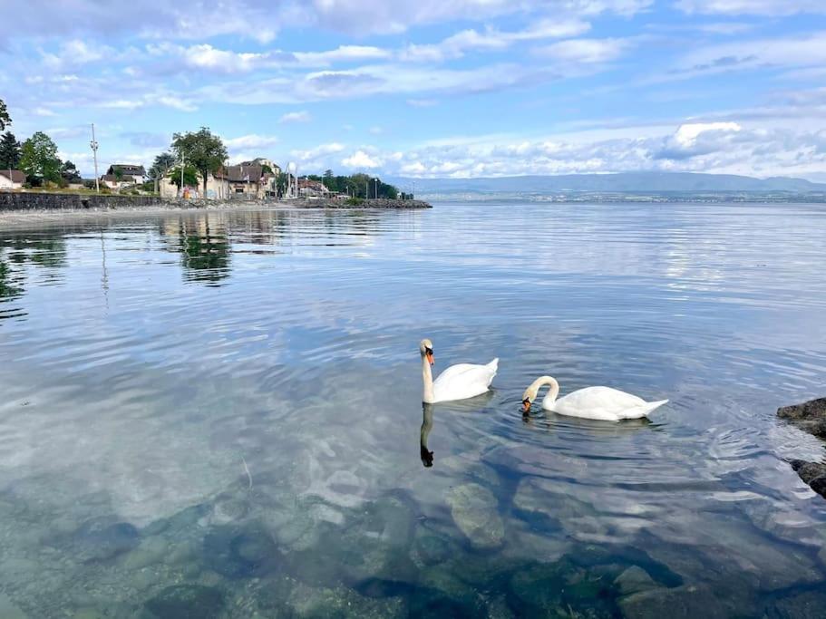 L'Escale du Léman - Chambres d’hôtes