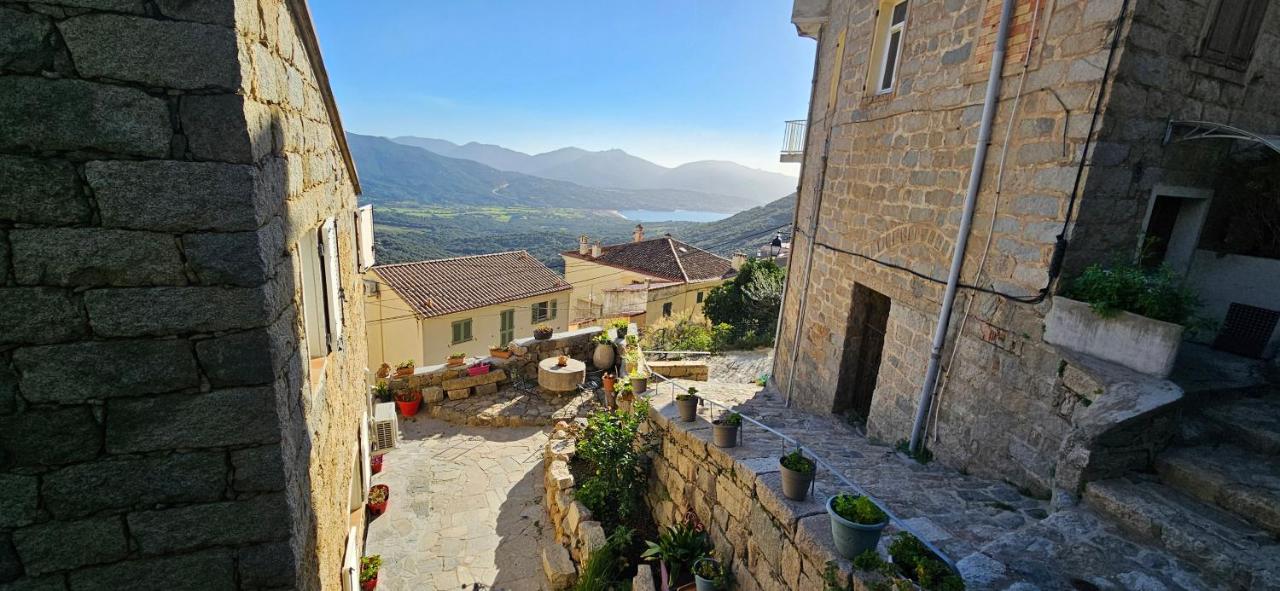 T2 typique au cœur du village et vue sur le Golfe - Chambres d'hôtes Olmeto