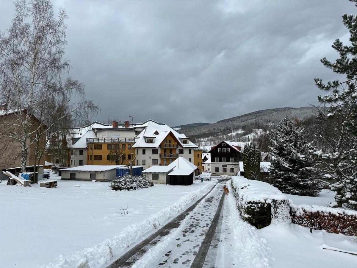 Rokytka apartmán 217 - Ferienwohnung