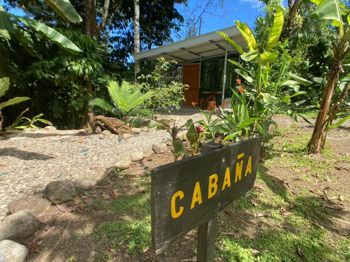 Bungalow Deluxe con Vista Giardino
