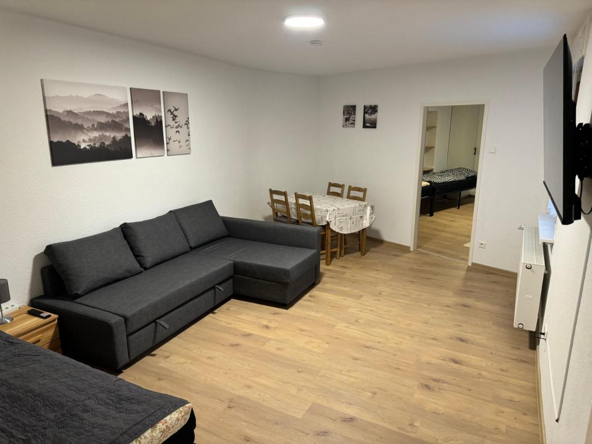 5-room apartment (120 sqm) with 2 bathrooms, 2 kitchens, bar area & balcony directly in the city centre - B&B Karlsruhe