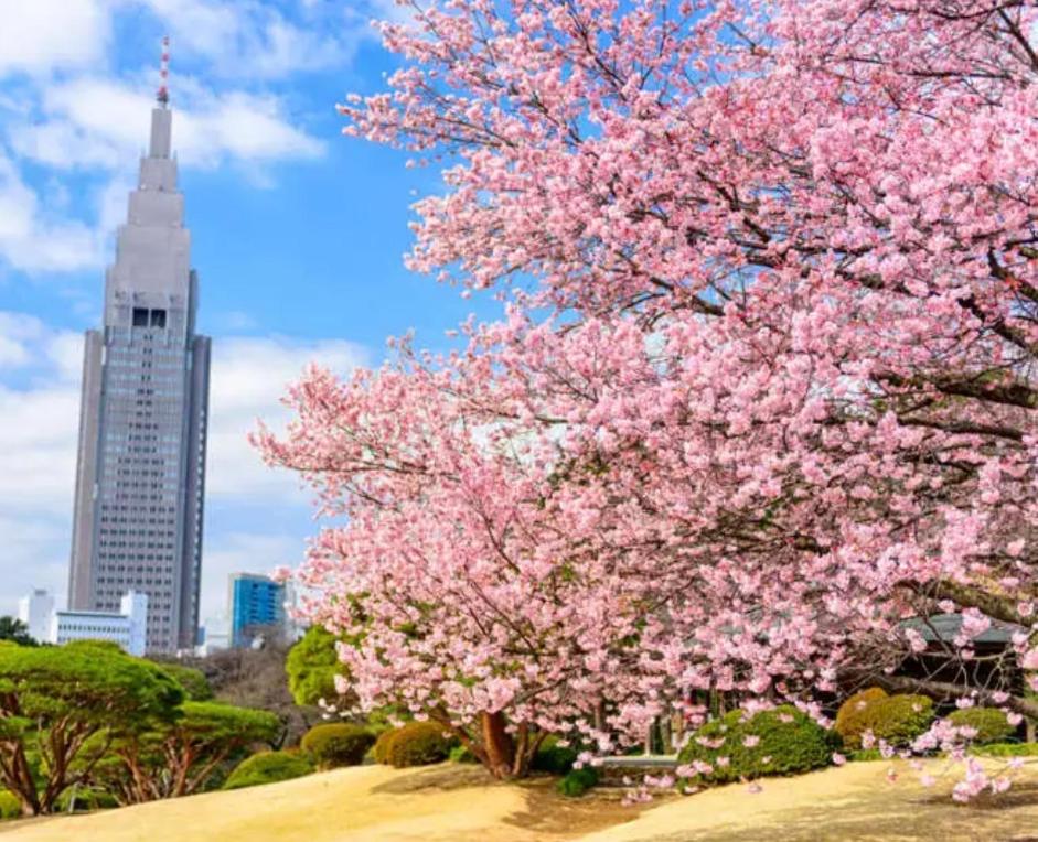 62新宿最中心 新宿御苑前站5分-Shinjuku center 5 mins to Station, Max 5P 新宿 涉谷 表参道 池袋 上野 代代木 银座 原宿 - Chambres d’hôtes Tokyo