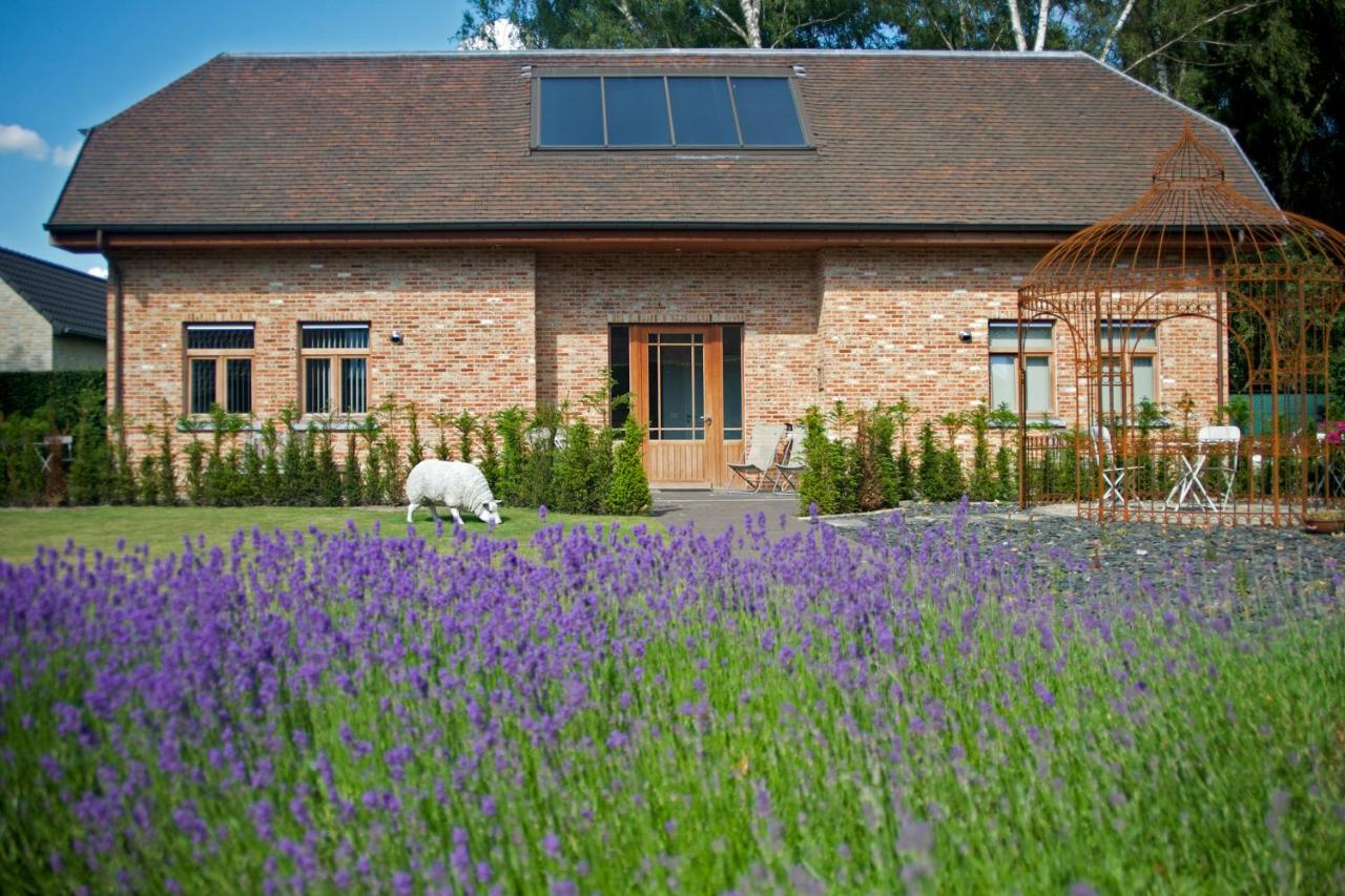 B&B Gielse Garden - B&B Gierle