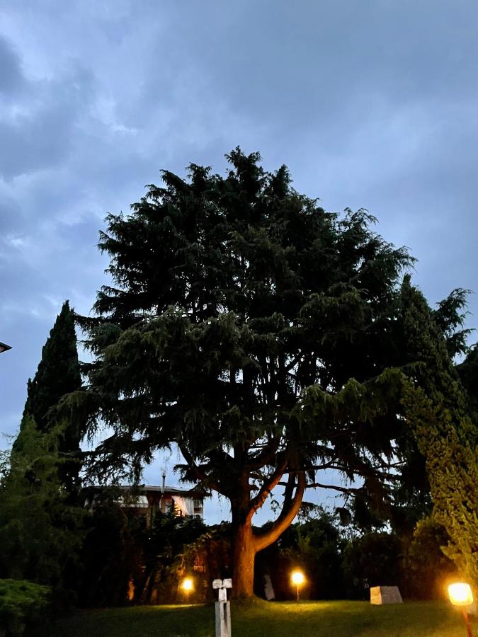Villa Caffetto Dépendance nei pressi del Lago di Garda - B&B Calcinato