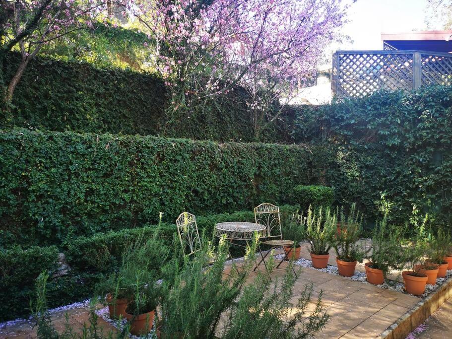 Kookaburra Place - B&B Thornleigh