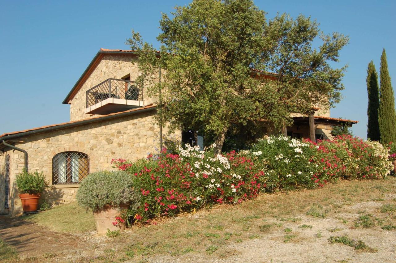 Apartment im Erdgeschoss (7 Erwachsene) - Petrarca