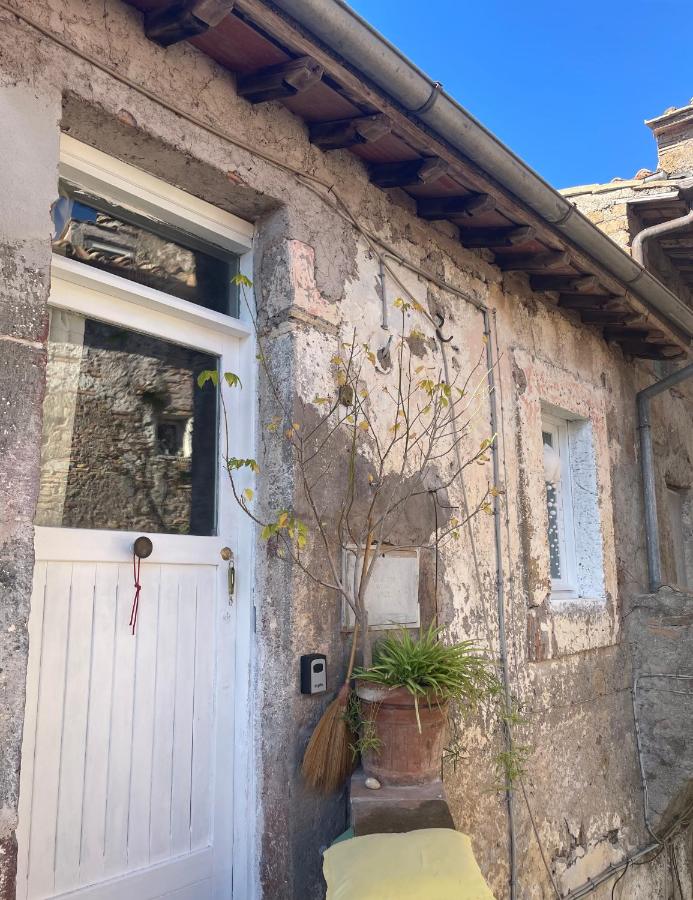 Alloggio turistico Anna Trivella Hagakure Calcata - B&B Calcata