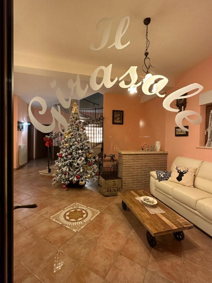 B&B Il Girasole - Bed and Breakfast