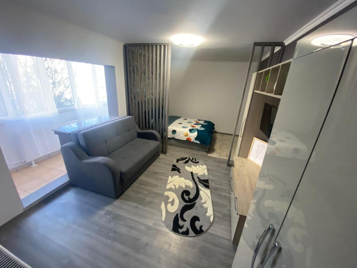 STUDIO ARENA MALL - Ferienwohnung Bacău