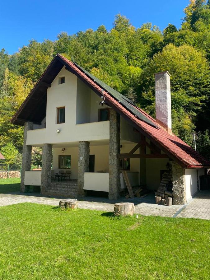 Trei Tulnice - Ferienwohnung
