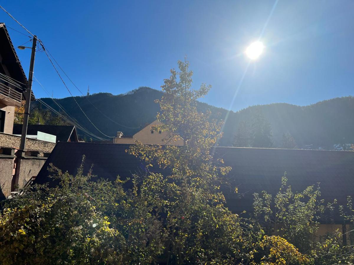 Retro House Mountain View - B&B