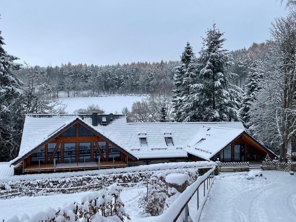 Auszeit im Wald - mit Schwimmbad! - Ferienwohnung Heßles