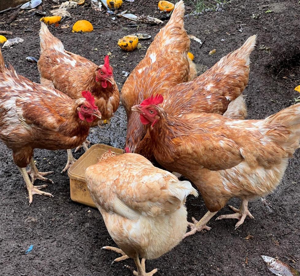 Double or Twin Riverside Room