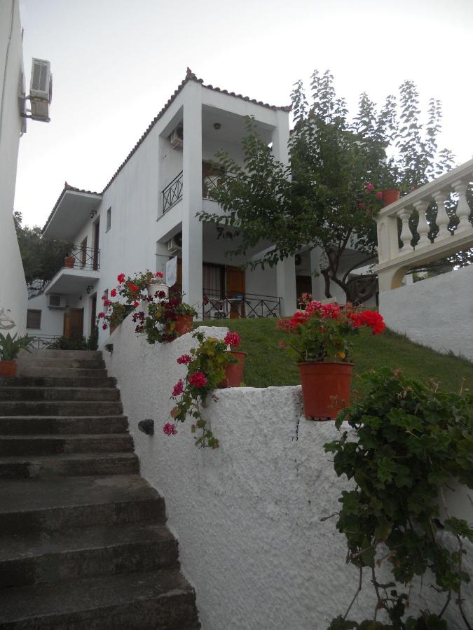 Albatros - B&B