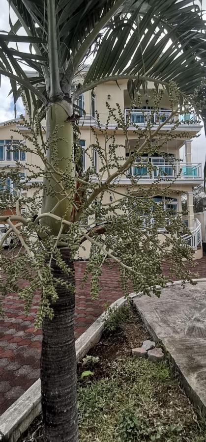 Luxor Residence Guesthouse - B&B