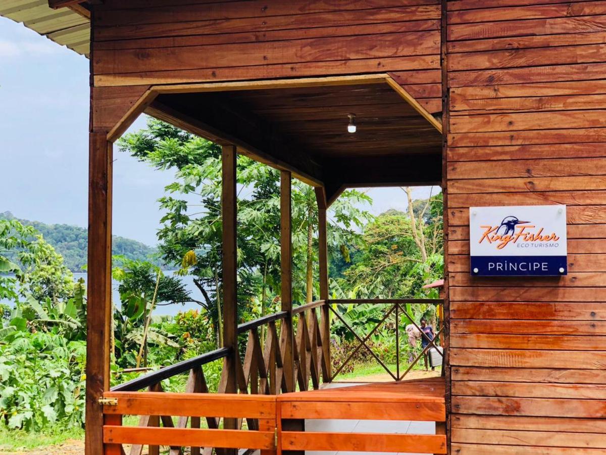 Kingfisher- Principe - B&B Santo António