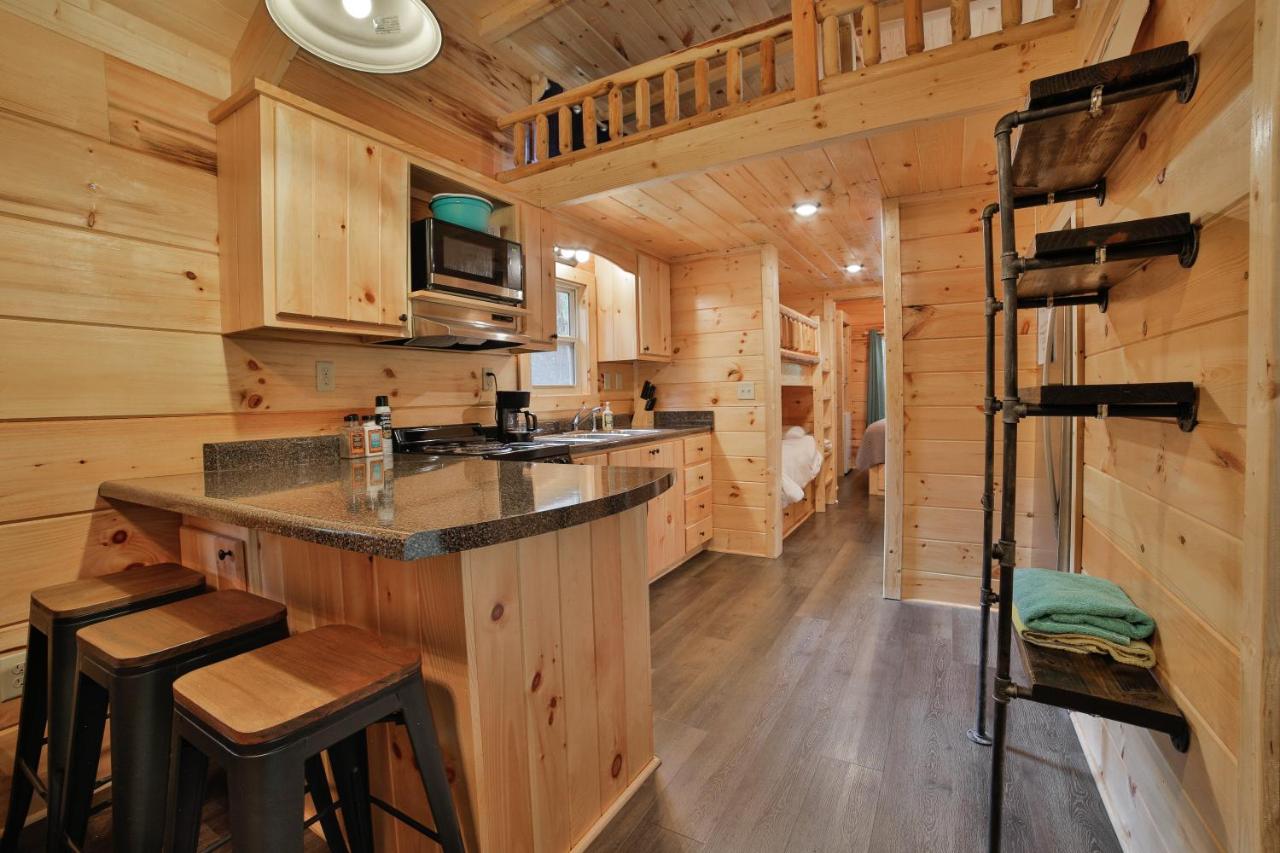 B&B Chattanooga - Ani Cabin Tiny Home Bordered By National Forest - Bed and Breakfast Chattanooga