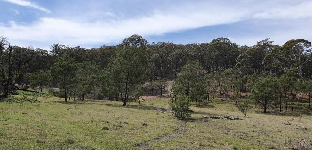 Bellevue Lodge Farm stays near Goulburn - B&B