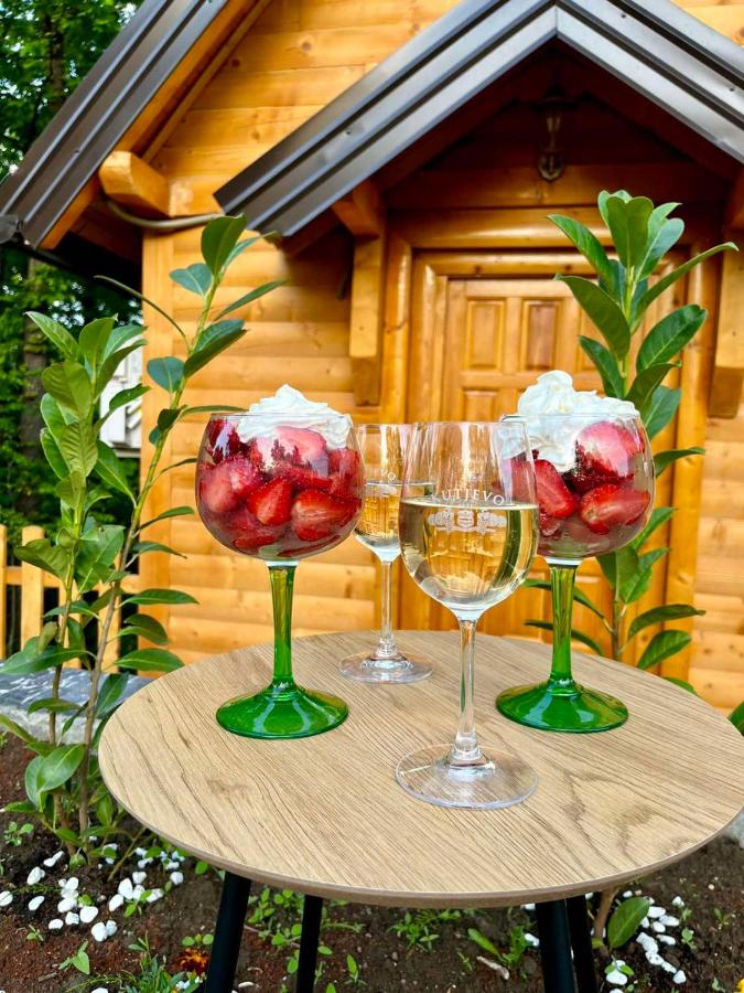 Vila Šibovi - Bed and Breakfast