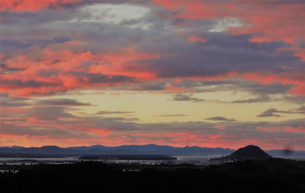 Papamoa Country Cottage - B&B Tauranga