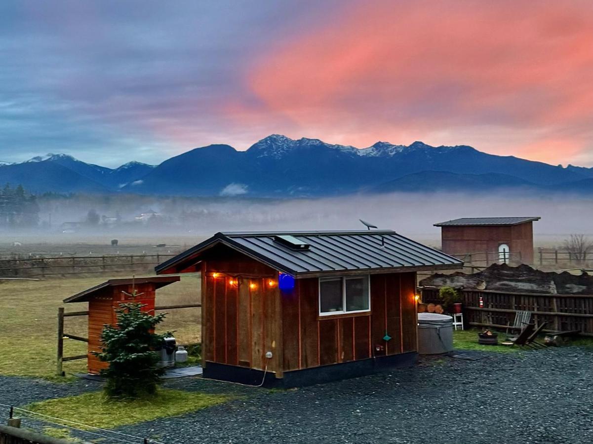 Blue Moon Tiny House, Sauna,ht - B&B