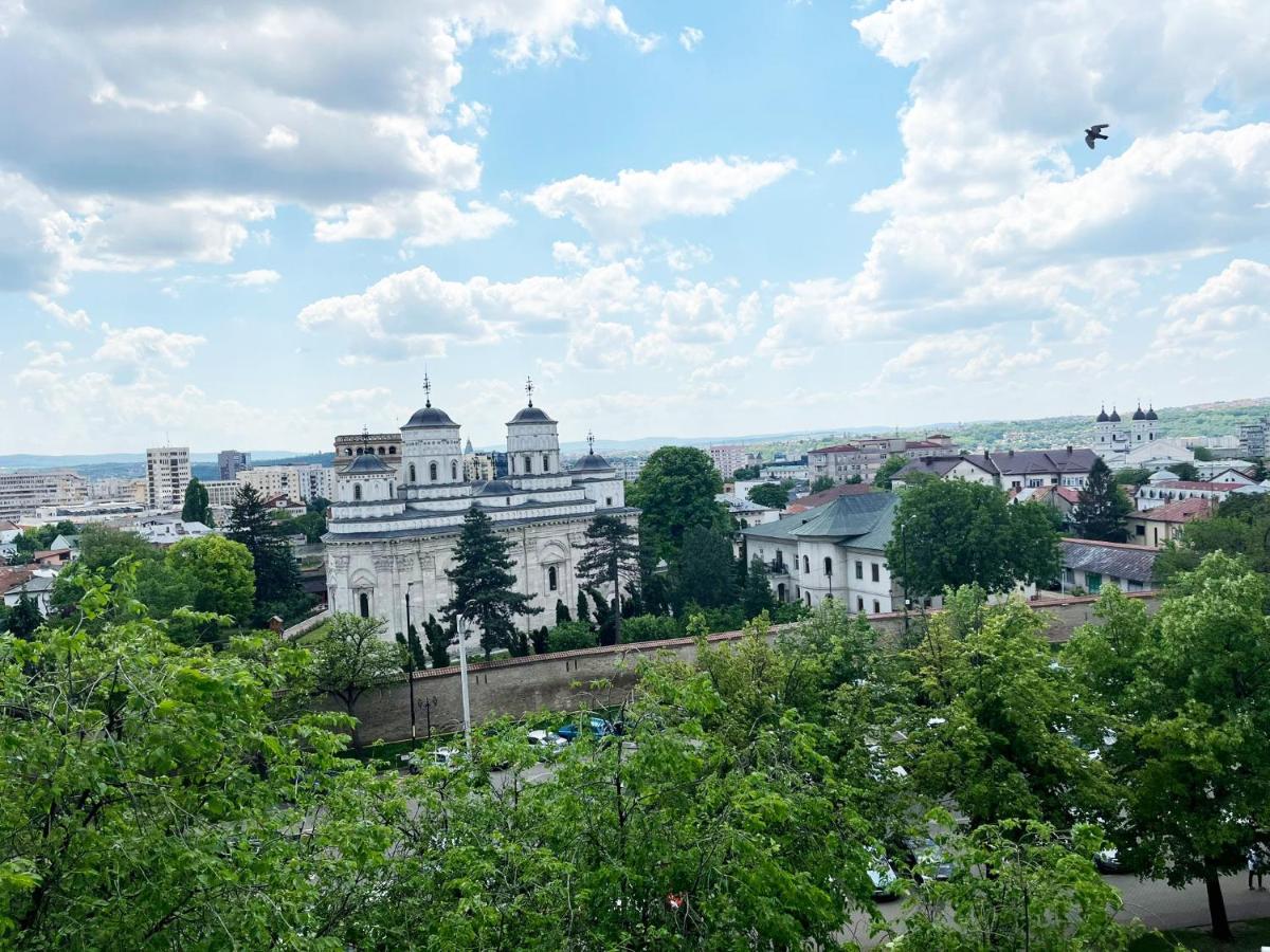 Central Apartments' Privat-Sauna free Parking AmurResidence FamilyConcept - B&B Iași